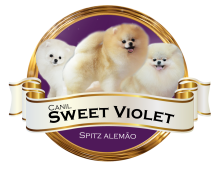  Sweet Violet